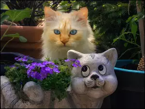 Kot obok doniczki z kwiatami