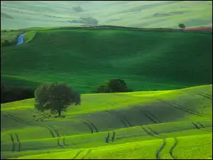 Zielone pole i wzgórza