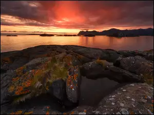 Morze, Zachód słońca, Rośliny, Norwegia, Skały, Wyspa Senja