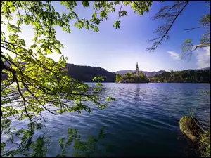 Widok z brzegu jeziora Bled na kościół Wniebowzięcia Marii Panny