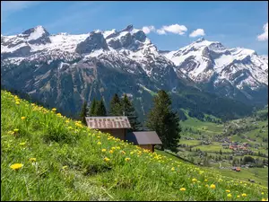 Dolina w Alpach Berneńskich w Szwajcarii