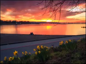 Zachód słońca nad jeziorem z kwiatami