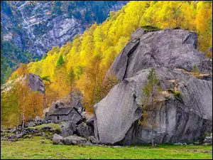 Domy obok skały pod jesiennymi drzewami w Alpach Szwajcarskich