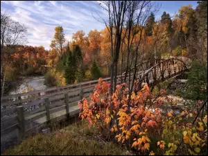 Most pośród jesiennych drzew nad rzeką