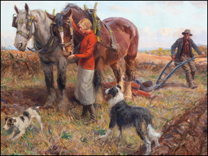 Kobieta i mężczyzna z psami i końmi na polu