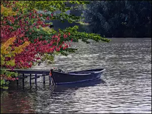 Łódka przy pomoście pod kolorowym drzewem