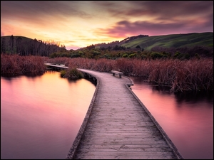 Pomost na mokradłach w Peka Peka w Nowej Zelandii