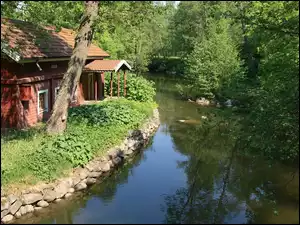 Dom wśród roślinności nad rzeką