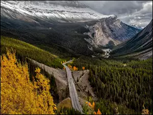 Icefields Parkway, Góry Skaliste, Kanada, Droga, Alberta, Drzewa, Lasy