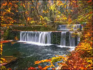 Wodospad w lesie jesienną porą