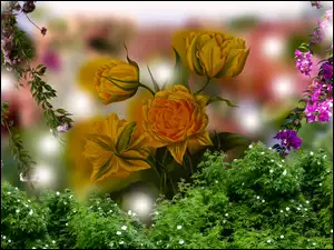 Grafika 2D, Kwiaty, Tulipany