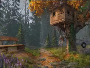 Domek na drzewie w lesie