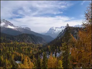 Zadrzewiona dolina i ośnieżone szczyty w Dolomitach jesienną porą