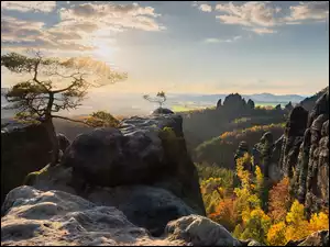 Jesień, Niemcy, Skały, Chmury, Park Narodowy Saskiej Szwajcarii, Drzewa, Wschód słońca, Góry Połabskie