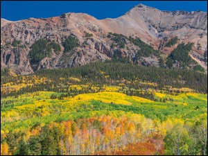 Drzewa, Stan Kolorado, Kolorowe, Góry, San Juan Mountains, Telluride, Las, Stany Zjednoczone, Jesień