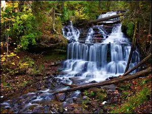 Wodospad na skale w kolorowym jesiennym lesie