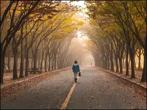 Dziewczyna spacerująca w jesiennej mgle