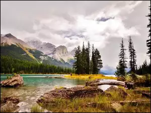 Wyspa Ducha na jeziorze Maligne w pochmurny dzień w Parku Narodowym Jasper w Kanadzie