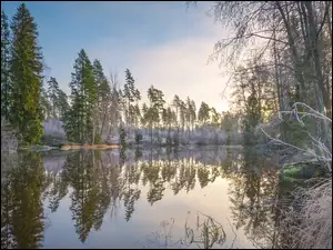 Virojoki River, Drzewa, Finlandia, Rzeka, Region Kymenlaakso, Trawa, Oszroniona