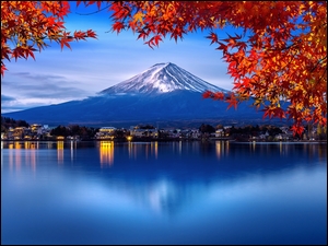 Drzewa, Japonia, Jezioro, Klon, Góra Fudżi, Lake Kawaguchi, Liście, Stratowulkan