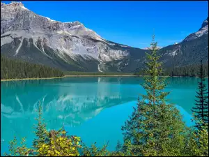 Jezioro, Emerald Lake, Kanada, Góry, Kolumbia Brytyjska, Park Narodowy Yoho, Świerki
