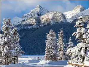 Góry, Drzewa, Śnieg, Zima, Lasy