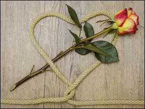 Serce ze sznurka z różą