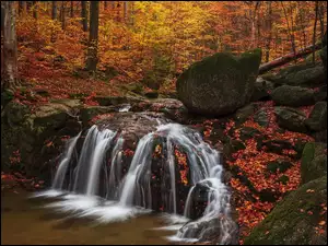 Wodospad i jesienna roślinność w Górach Izerskich