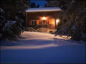 Drzewa, Zima, Śnieg, Dom, Las, Oświetlony