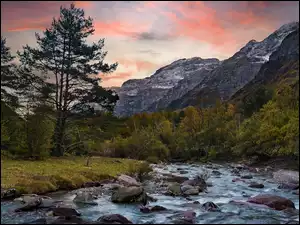 Kamienie, Park Narodowy Ordesa y Monte Perdido, Hiszpania, Rzeka Piedra, Pireneje Aragońskie, Góry, Drzewa