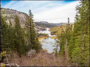 Jeziora Twin Lakes, Stany Zjednoczone, Miejscowość Mammoth Lakes, Góry, Kalifornia, Góra Mammoth Mountain, Świerki, Hrabstwo Mono