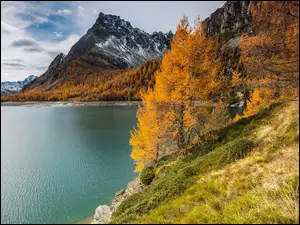Jezioro, Góry, Drzewa, Chmury, Pożółkłe, Jesień