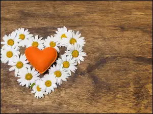 Poduszeczka w kształcie serca pośród kwiatów rumianków na desce