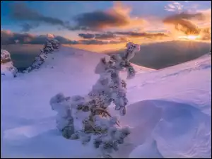 Góry, Zima, Drzewa, Chmury, Ośnieżone, Wschód słońca