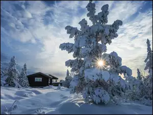 Dom, Zima, Drzewa, Promienie słońca, Ośnieżone, Chmury