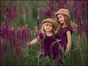 Dwie dziewczyny na łące łubinu
