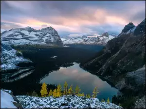 Jezioro, Góry, Drzewa, Canadian Rockies, Kolumbia Brytyjska, Zima, Lake OHara, Kanada, Las, Park Narodowy Yoho, Chmury
