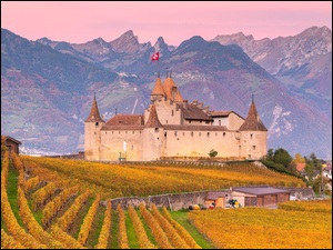 Region Chablais Vaudois, Góry, Winnice, Szwajcaria, Plantacja, Aigle Castle, Zamek