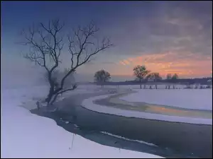 Rzeka, Zima, Domy, Chmury, Drzewa, Mgła