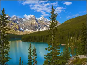 Kanada, Jezioro, Prowincja Alberta, Świerki, Park Narodowy Banff, Moraine Lake, Las, Góry, Drzewa