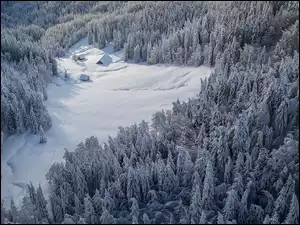 Drzewa, Zima, Polana, Domy, Las, Śnieg