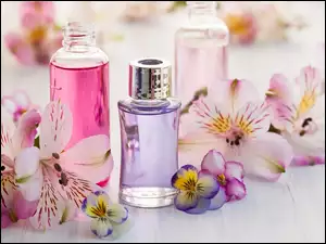 Alstremeria i fiołki obok butelki perfum