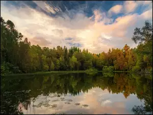 Las, Chmury, Zielony, Jezioro, Drzewa