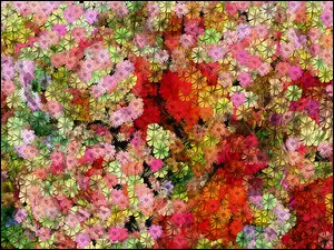 Kolorowe, Tekstura, Kwiaty