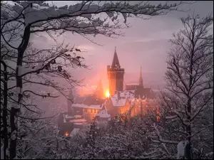 Saksonia, Wernigerode, Światła, Niemcy, Drzewa, Zima, Zamek Wernigerode