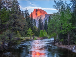 Drzewa, Park Narodowy Yosemite, Góry, Kalifornia, Rzeka, Góra Half Dome, Stany Zjednoczone, Merced River