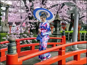 Kobieta, Kimono, Wiosna, Azjatka, Drzewa, Most, Parasolka