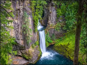 Stany Zjednoczone, Zielone, Oregon, Wodospad Toketee, Park Narodowy Jeziora Kraterowego, Drzewa, Rośliny, Las, Skały