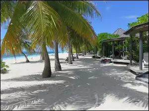 Palmy na plaży nad oceanem na wyspie Kuredu na Malediwach