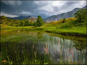 Chmury, Jezioro Sary Chelek, Prowincja Jalal Abad, Góry, Kirgistan, Trawy, Drzewa
